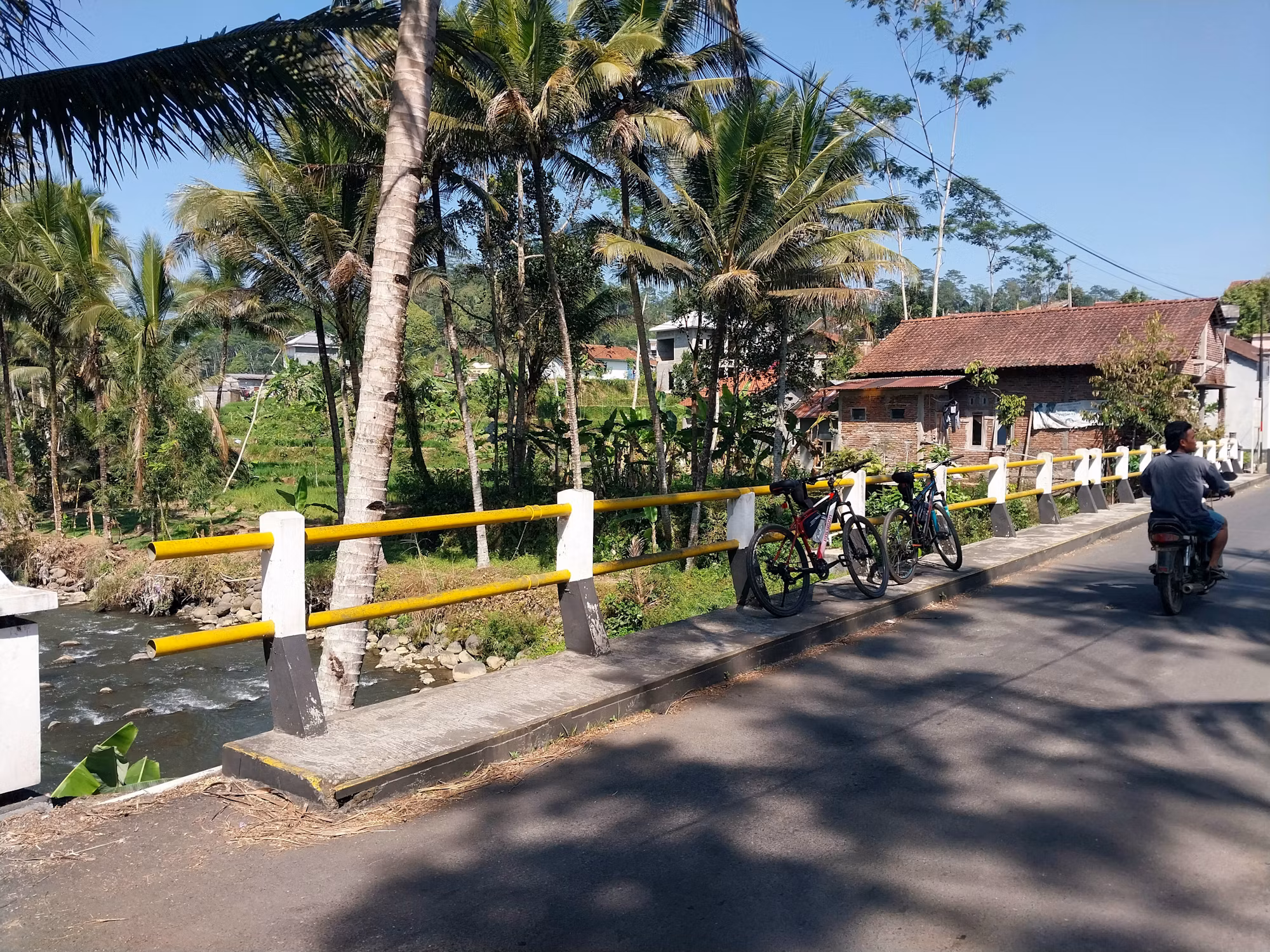 Cycling for All: The Inclusive World of Adaptive Cycling